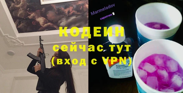 хмурый Алексин