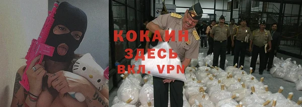 хмурый Алексин