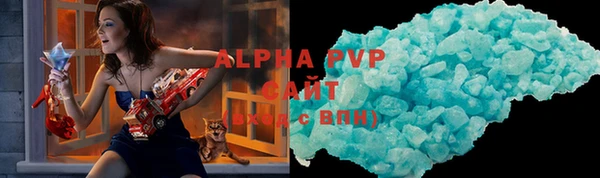 хмурый Алексин