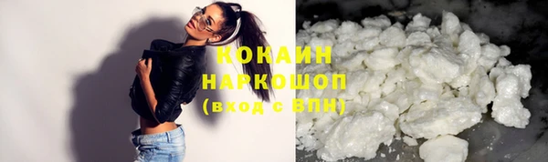 стафф Алзамай