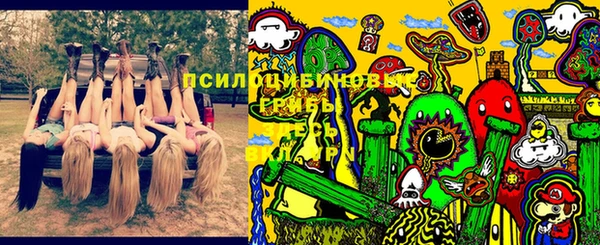 сатива Алексеевка