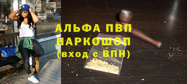 хмурый Алексин