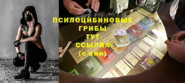 стафф Алзамай