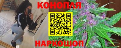 метадон Кингисепп
