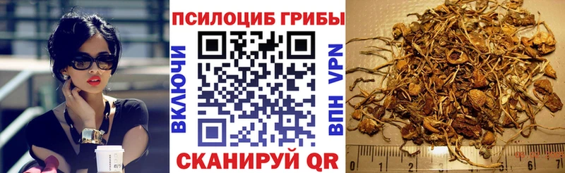 купить  сайты  Усолье-Сибирское  Галлюциногенные грибы ЛСД 