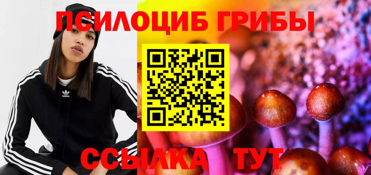 Усолье-Сибирское  Псилоцибиновые грибы Magic Shrooms  Вход с VPN  Псилоцибиновые грибы Psilocybe 